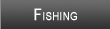 Lake Quinsigamond Fishing